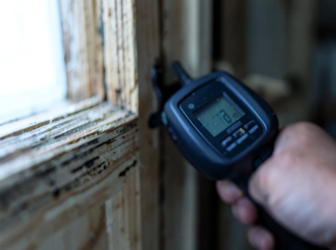 Moisture Inspection And Documentation in Dallas City, IL